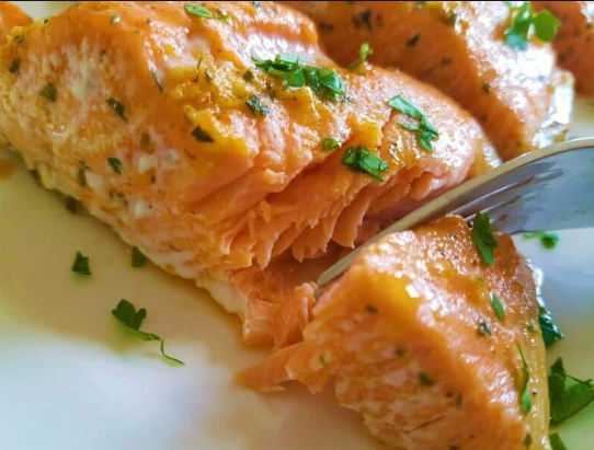 Salmon